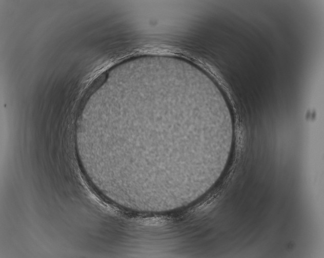 X0000115670433200912031400