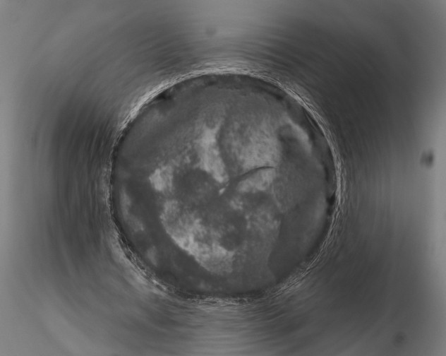 X0000115670434200912031400