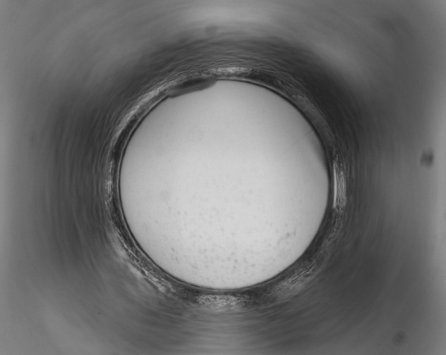 X0000115670435200912031400