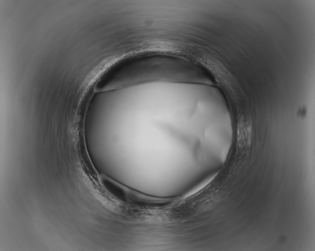 X0000115670436200912031400