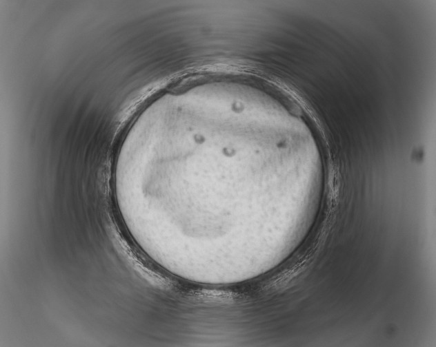 X0000115670437200912031400