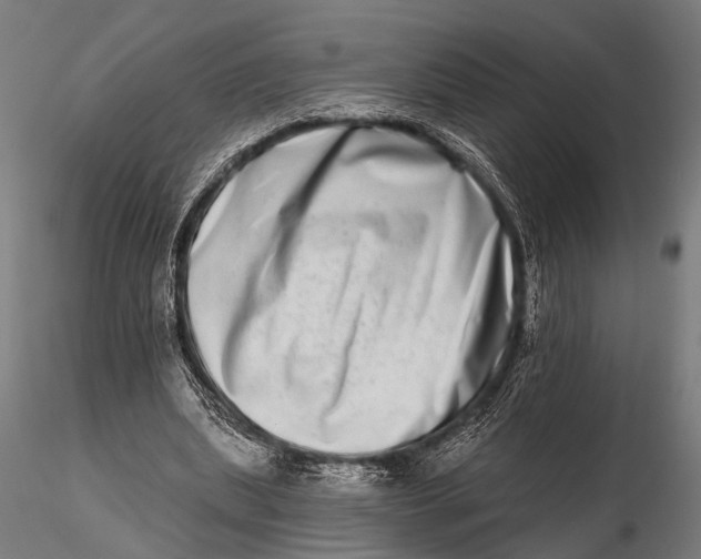 X0000115670439200912031400