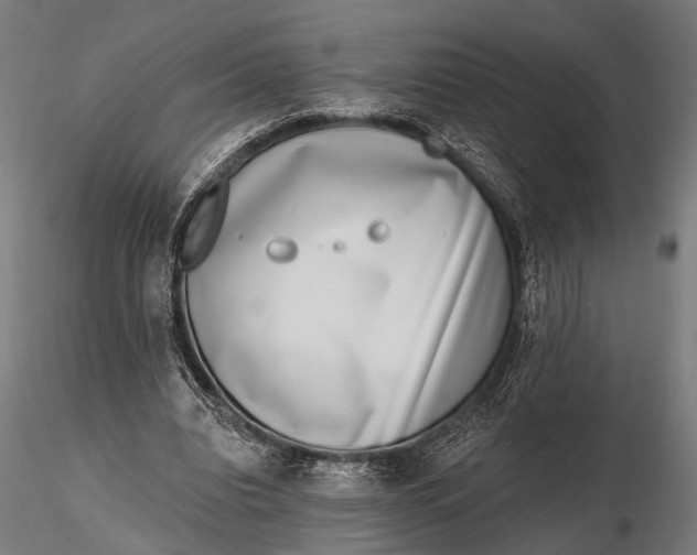 X0000115670440200912031400