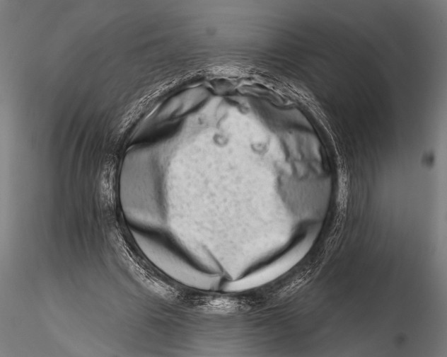 X0000115670441200912031400