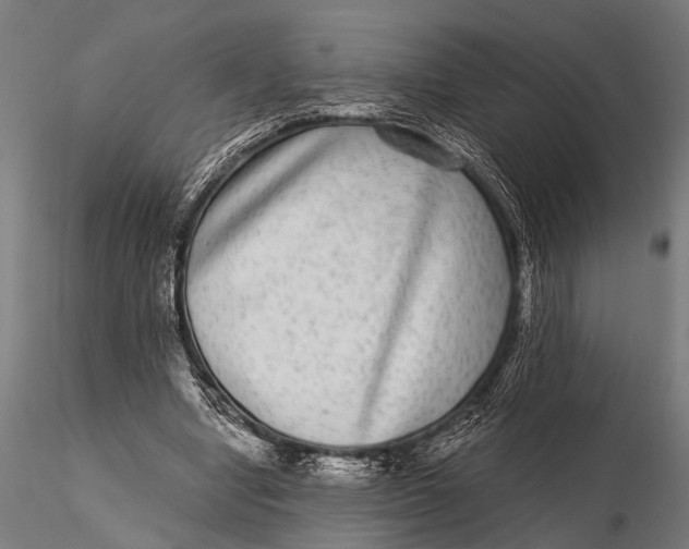 X0000115670442200912031400