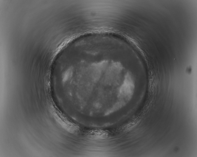 X0000115670443200912031400