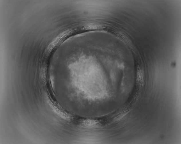 X0000115670444200912031400