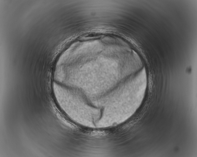 X0000115670445200912031400