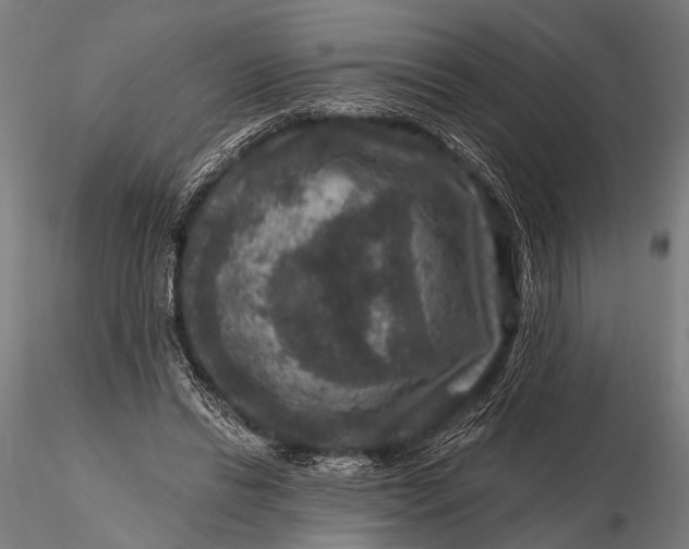 X0000115670446200912031400