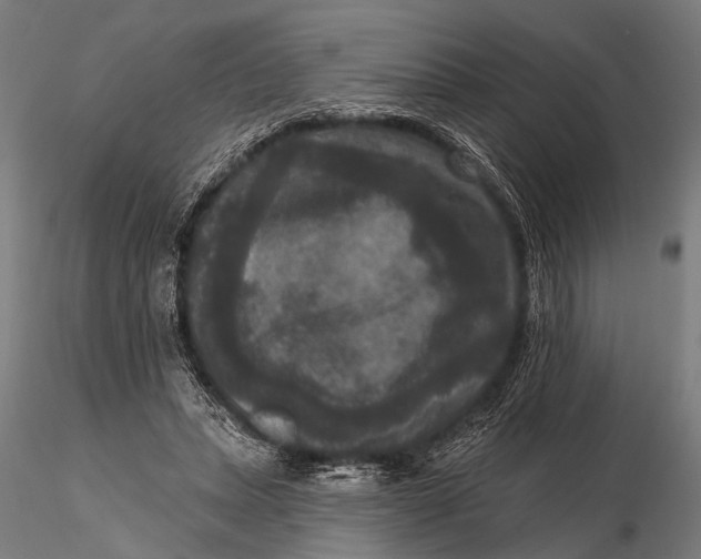 X0000115670447200912031400