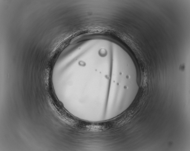 X0000115670448200912031400