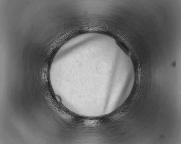 X0000115670450200912031400