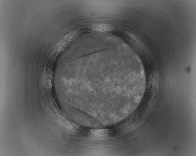 X0000115670452200912031400