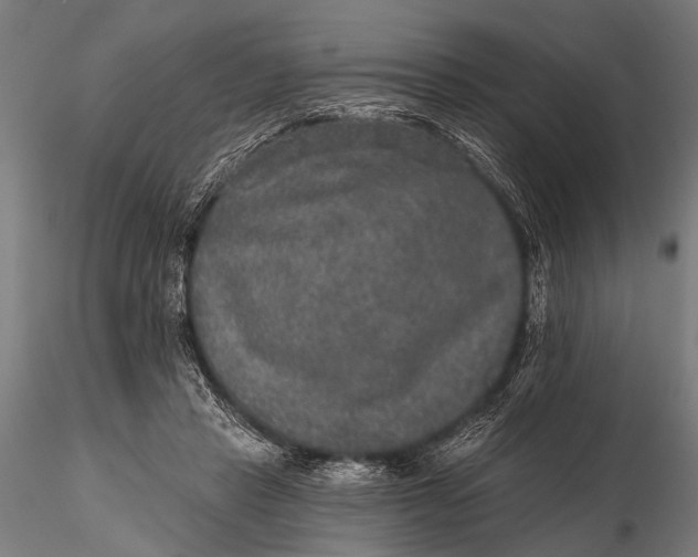 X0000115670453200912031400