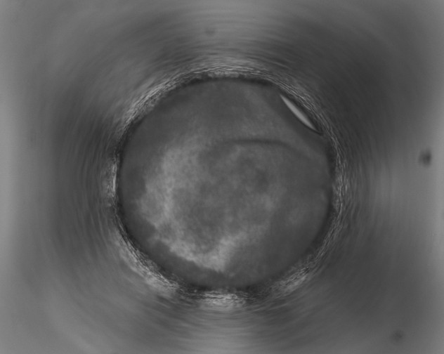 X0000115670454200912031400