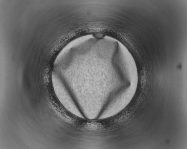 X0000115670455200912031400