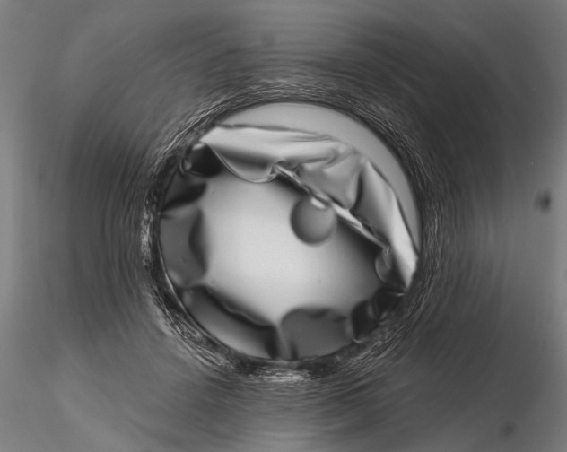 X0000115670456200912031400