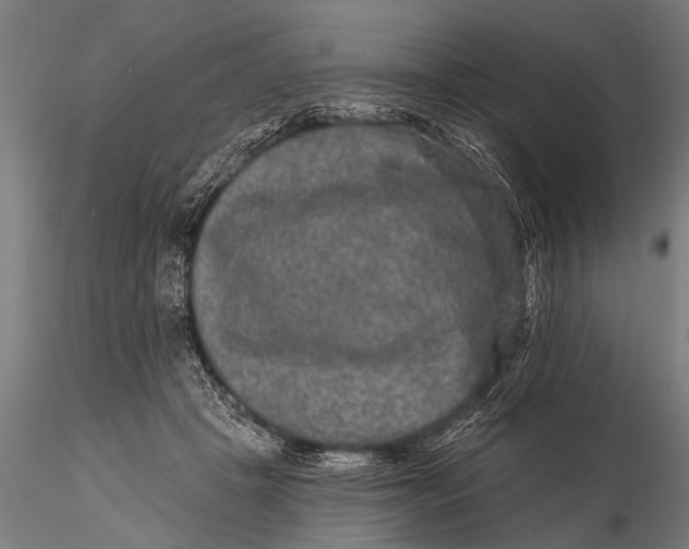 X0000115670457200912031400