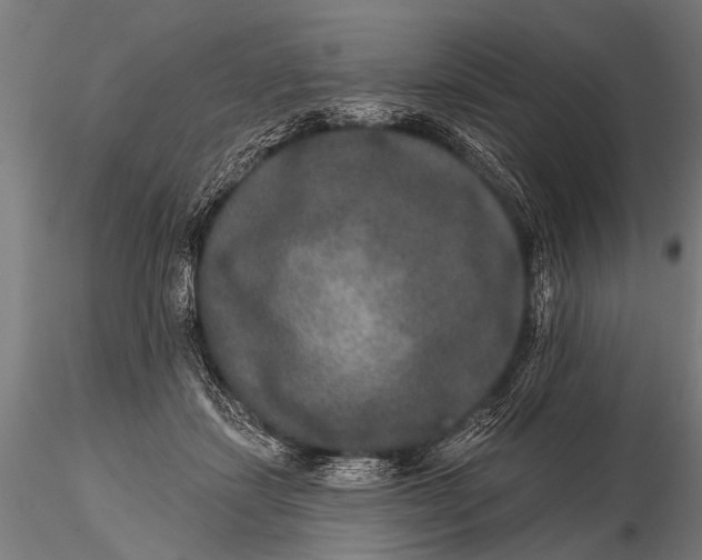 X0000115670459200912031400