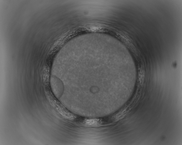 X0000115670461200912031400