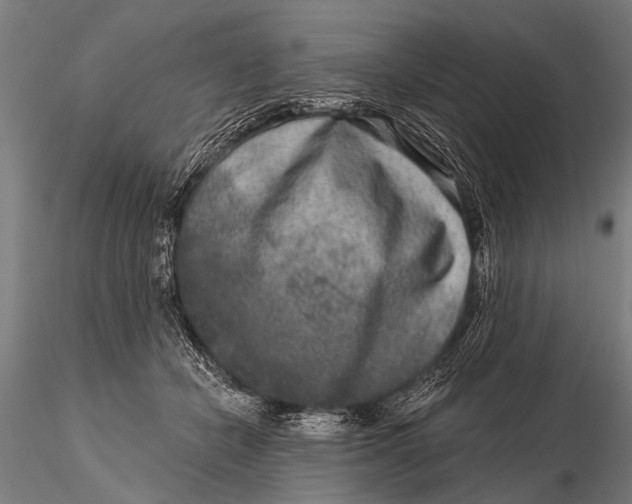 X0000115670462200912031400