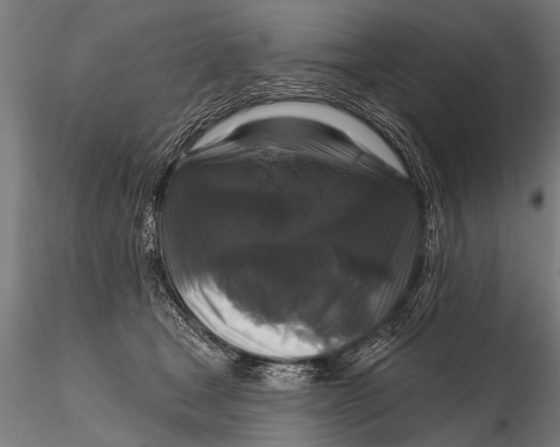 X0000115670465200912031400