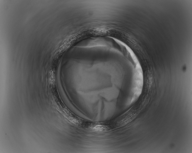 X0000115670467200912031400