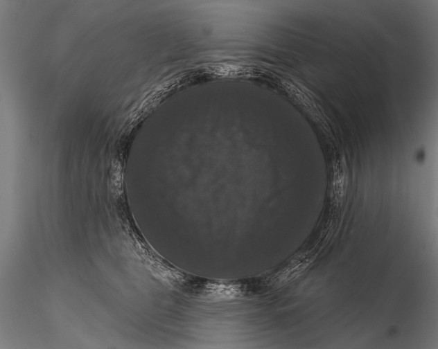 X0000115670469200912031400