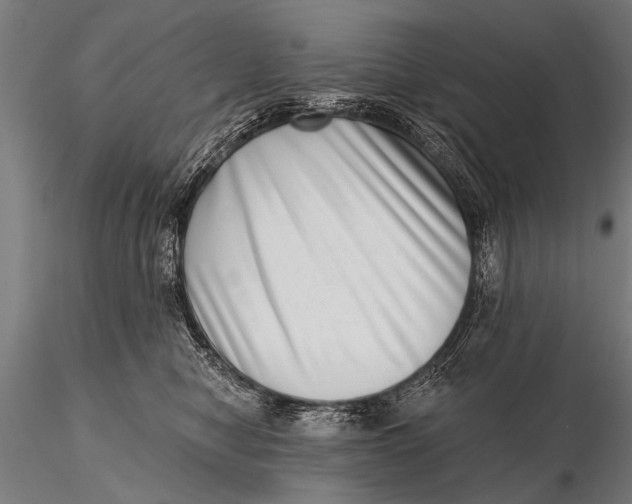 X0000115670470200912031400