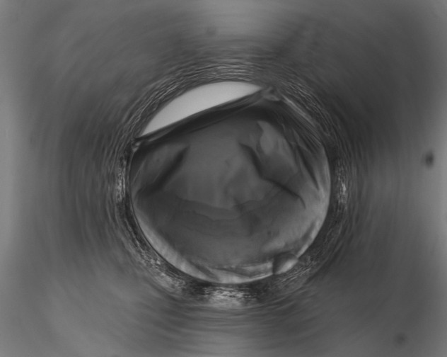 X0000115670471200912031400