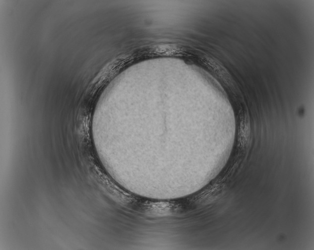 X0000115670473200912031400