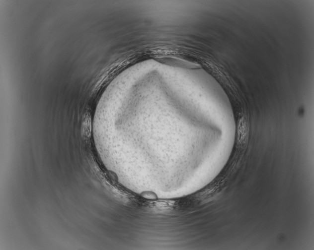 X0000115670474200912031400