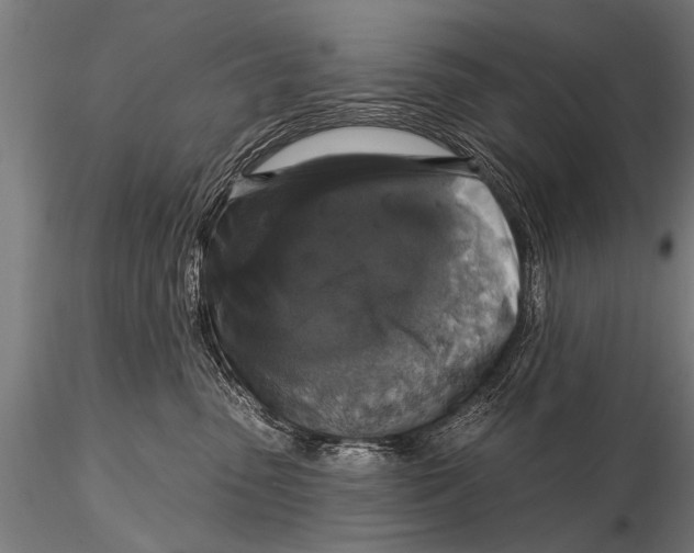 X0000115670475200912031400