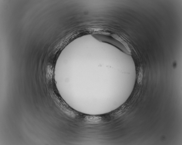 X0000115670476200912031400