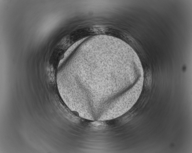 X0000115670477200912031400