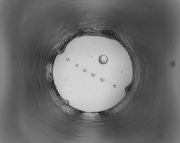 X0000115670480200912031400