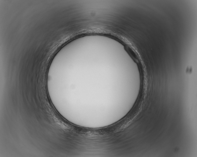 X0000115670481200912031400