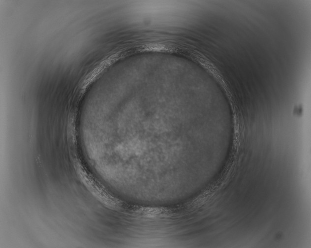 X0000115670482200912031400