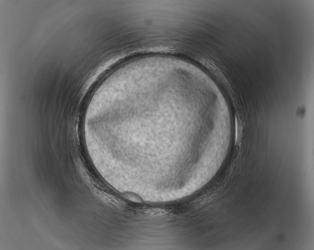 X0000115670483200912031400