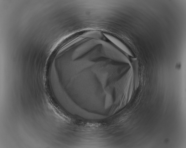 X0000115670484200912031400