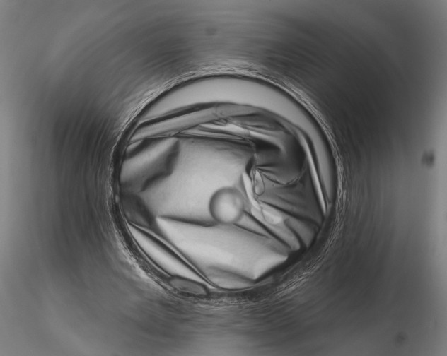 X0000115670485200912031400