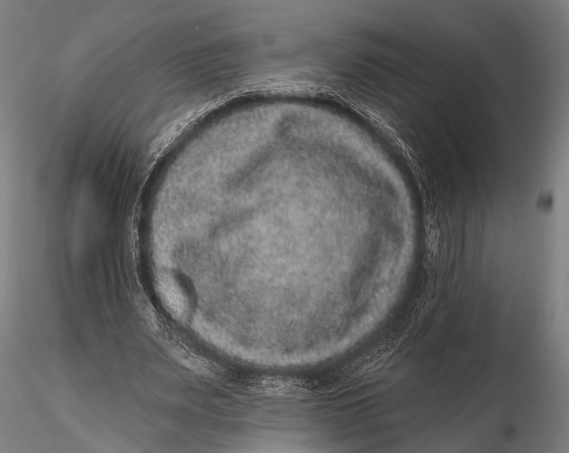 X0000115670487200912031359