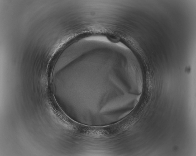 X0000115670488200912031359