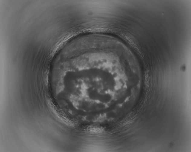 X0000115670491200912031359