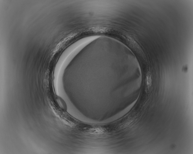 X0000115670492200912031359