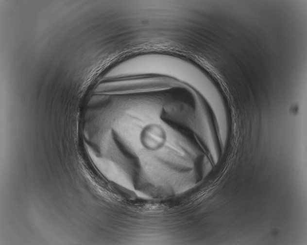 X0000115670493200912031359