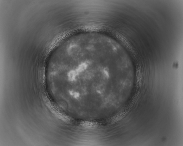 X0000115670494200912031359