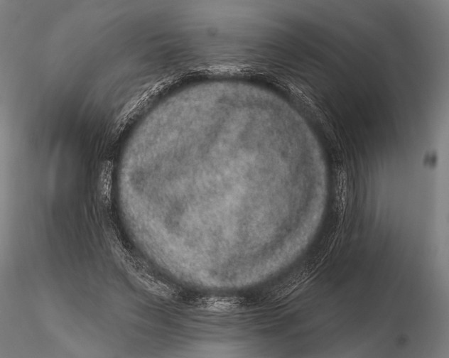 X0000115670495200912031359