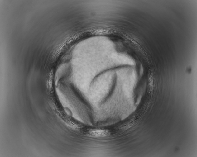 X0000115670499200912031359