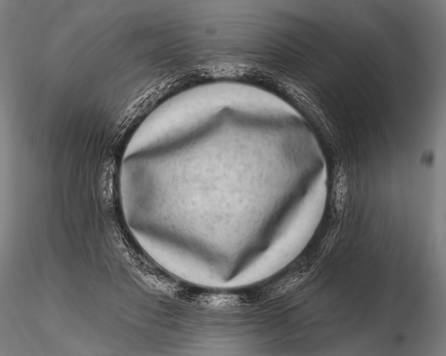 X0000115670501200912031359